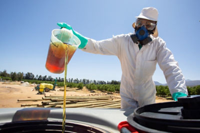 Labels and SDS