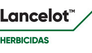 Lancelot - LT