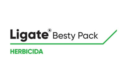 Logo de Ligate Besty STS