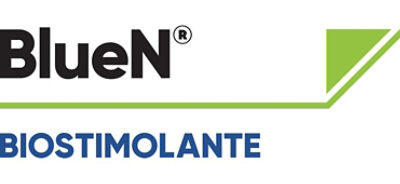 Logo BlueN