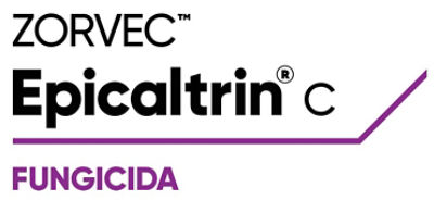 Logo Zorvec Epicaltrin C