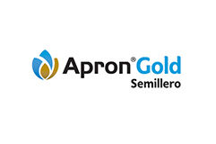 Logo Apronn Gold
