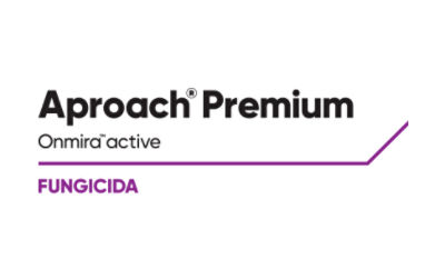 Aproach Premium