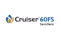 Logo Crusier