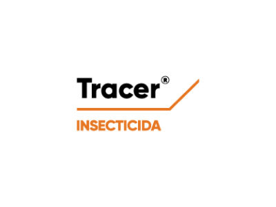 Logo de Tracer