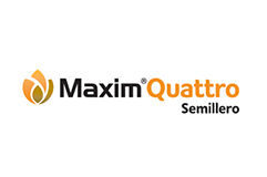 Logo Maxim Quattro