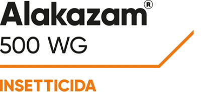 Logo Alakazam 500 WG