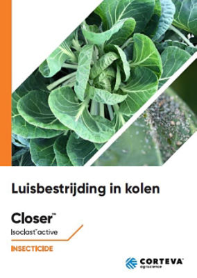 Luisbestrijding in Kolen