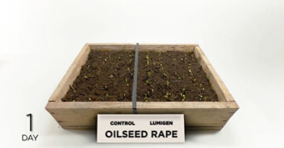 LumiGEN™TechnologieinRaps.mp4