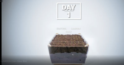 Starke Pflanzen von Anfang an