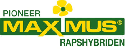 MAXIMUS Logo