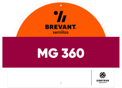 MG_360