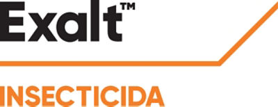 Exalt™