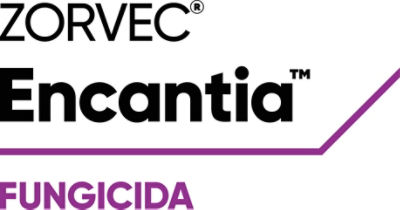 Zorvec®  Encantia™