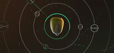 Made To Grow Home Banner Desktop