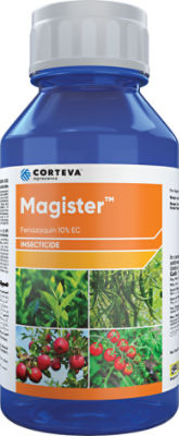 Magister_776x1885_500ml_Front_alt