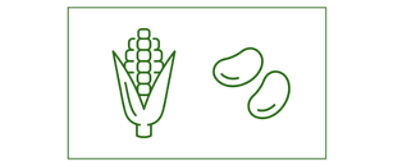 Mais-Bohnen-Mischung