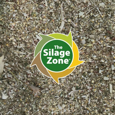 Maize_Silage_Component Three.jpg