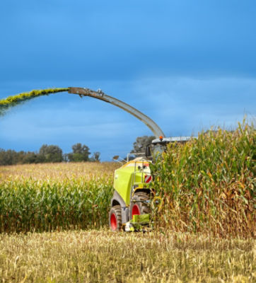 SILA-BAC® silokindlustuslisandid