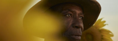 Omul în picioare printre floarea-soarelui