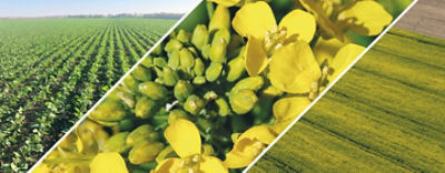 Metkon1440560maincover