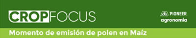 Momento-de-emision-de-polen-en-maiz_article_header_alt