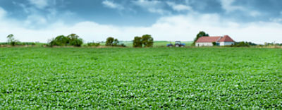 Website carousel BELKAR™