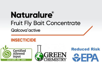 Naturalure Fruit Fly Bait Concentrate Qalcova active Insecticide
