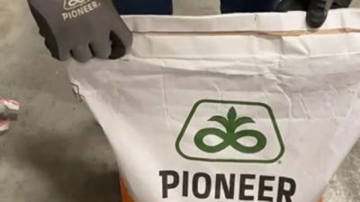 Nieuwe verpakking Pioneer maiszaden