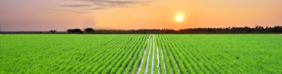 Salibro_India_CP_Banner_7000x1920