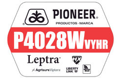 P4028WVYHR