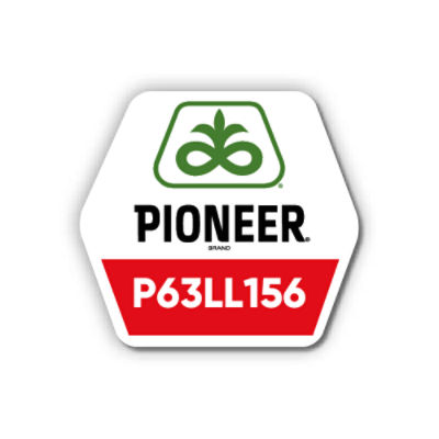 Pioneer