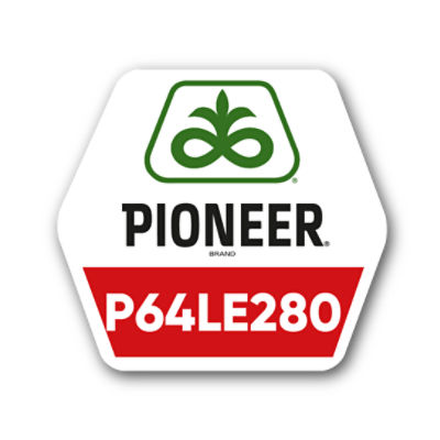 Pioneer logo