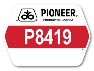 P8419_Logo