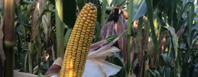 P8888pressbackgroundimage