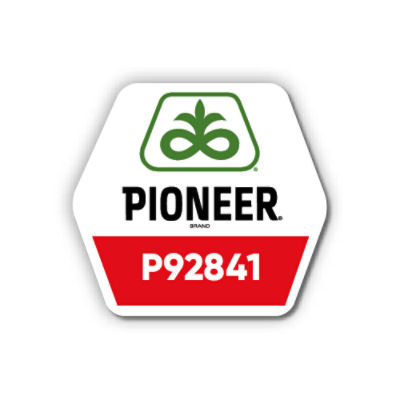 Кукурудза Pioneer