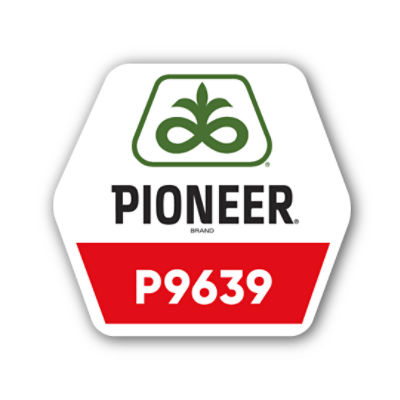 Pioneer