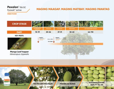 Pexalon Timing of Application