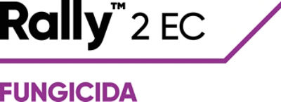 Rally™ 2 EC 