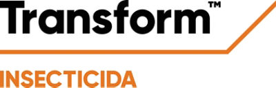 Transform™ 