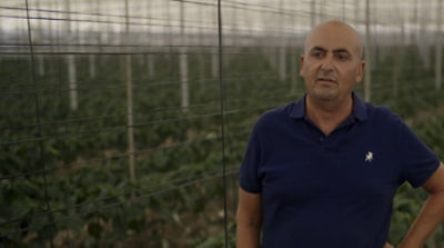 Intervista a Nicolas Manrique su Qalcova active (Spinosad)