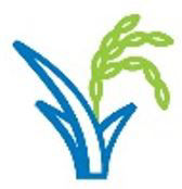 Mataas na kalidad ng ani