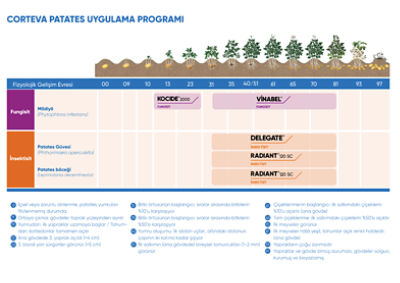 patates-ilac-programi