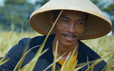 Female scientist checking plant