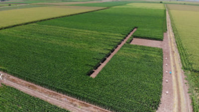 Pioneer Trasciende_V4