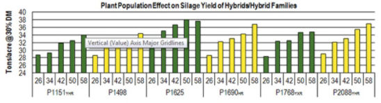 Plant Population Effect