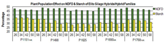 Plant Population Effect