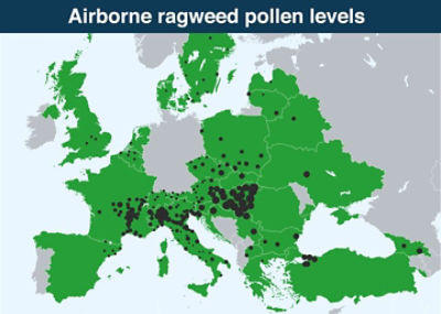 Pollen_Graphic_v03