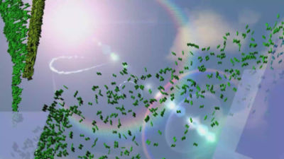 Instinct Optinyte corn