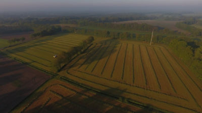 Proef Groeikracht III